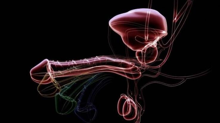 Prečo sa výtok objavuje, keď sú muži vzrušení a je to normálne